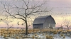 Gray Barn in Spring by Laine Dobson
